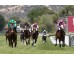  Carrera: P.Corpa  Caballo: The Game Monta: R.Sousa